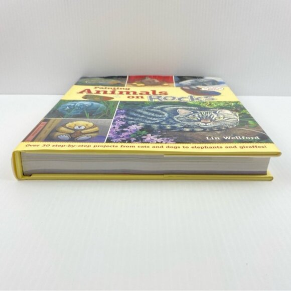 Painting Animals on Rocks by Lin Welford Hardcover Craft Book 2003 - Picture 5 of 12